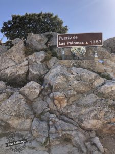 Paloma's Port